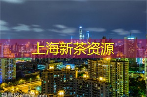 踏进上海后花园，感受大自然的魔力