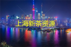 梦幻上海：身临其境的音乐与舞台表演