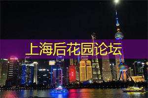 漫步月夜，畅享上海夜间文化之旅！
